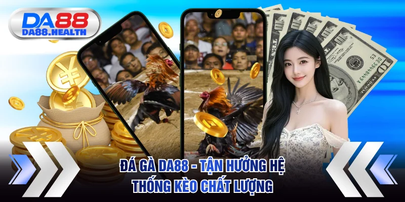 Đá Gà DA88 - Tận Hưởng Hệ Thống Kèo Chất Lượng Đỉnh Cao